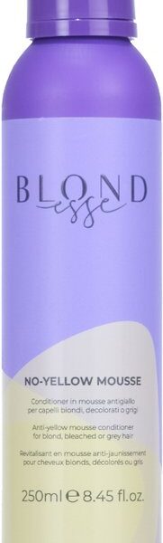 Inebrya No-Yellow Mousse 250ML