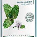 A Aquatic Mint Purifying Anti-pollution Mist By Klorane 100 Ml - Afbeelding 4
