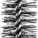 Lancôme Monsieur Big Mascara - 001 Big Is The New Black - Afbeelding 2