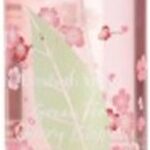 Elizabeth Arden Green Tea Cherry Blossom Body Veil 236 Ml  woman - Afbeelding 2