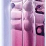 Eaux Fraiches Eau Fraiche The Des Vignes By Caudalie 50 Ml