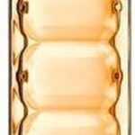 Hugo Boss Boss Orange Eau De Toilette Spray 50 ml for Women