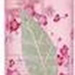 Elizabeth Arden Green Tea Cherry Blossom Body Veil 236 Ml  woman - Afbeelding 3