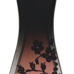 Christina Aguilera By Night Eau De Parfum Natural Spray  30 Ml - Afbeelding 10