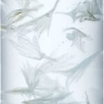 Payot Lotion Source Moisturising Plumping Infusion 125ml