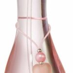 Jennifer Lopez Love at First Glow EDT W 30 ml - Afbeelding 4