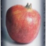 Greenland Balm & Butter Pomegranate Lip Balm