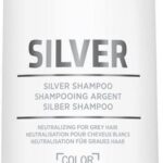 Dualsenses Silver Refining Silver Shampoo   Blond and Gray Hair