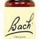 Food Supplement Bach Chicory 20 ml - Afbeelding 3