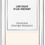 Damesparfum Splendid Orange Blossom Angel Schlesser EDT (100 ml) - Afbeelding 3