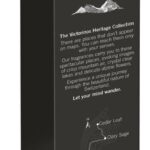 Herenparfum Victorinox EDT 100 ml Altitude For Men - Afbeelding 3