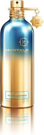 Montale Aoud Lagoon by Montale 100 ml - Eau De Parfum Spray (Unisex)