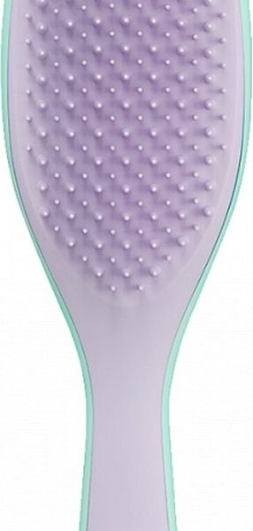 Tangle Teezer Wet Detangling Hairbrush
