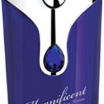 Herenparfum Armaf EDP Magnificent Blue Pour Homme (100 ml)