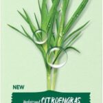 Garnier Bio Dagcrème Normale tot gemengde huid Verfrissend Citroengras - 50 ml