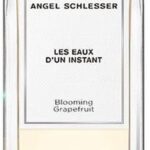 Angel Schlesser De wateren van een moment bloeiende grapefruit Water Deating Spray 150ml - Afbeelding 2