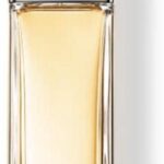 Dior Addict 100 ml Eau de Toilette - Damesparfum