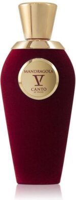 Mandragola V by Canto 100 ml - Extrait De Parfum Spray (Unisex) - Afbeelding 3