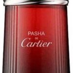 Cartier Pasha de Cartier Edition Noire Sport - 150 ml - eau de toilette spray - herenparfum - Afbeelding 2