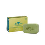 Solid Shower Gel Frequent Use 120 G By Dr. Tree 120 G