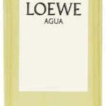 Loewe - Unisex - Agua - Eau de toilette 100 ml - Afbeelding 4
