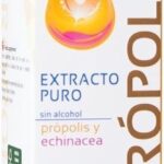 Food Supplement Drasanvi Propolis Forest fruits 50 ml