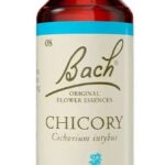 Food Supplement Bach Chicory 20 ml - Afbeelding 2