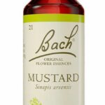 Food Supplement Bach Mustard 20 ml