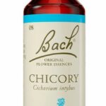 Food Supplement Bach Chicory 20 ml