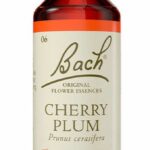 Voedingssupplement Bach Cherry Plum 20 ml - Afbeelding 2
