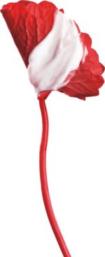 REVITALIFT CICACREM TU40 FR/NL . - Afbeelding 3