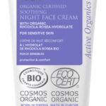 Natura Siberica Bescherming & Comfort Nachtcrème Bio 50 ml