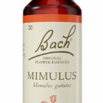 Voedingssupplement Bach Mimulus 20 ml - Afbeelding 2