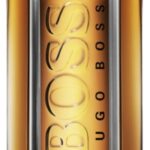 Hugo Boss The Scent 100 ml Eau de Toilette - Herenparfum