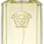 Versace The Dreamer 100 ml Eau de Toilette - Herenparfum