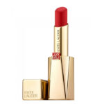 Estee Lauder Lipstick Make Up Pure Color Desire Rouge Excess Matte Lipstick 313 Bite Back