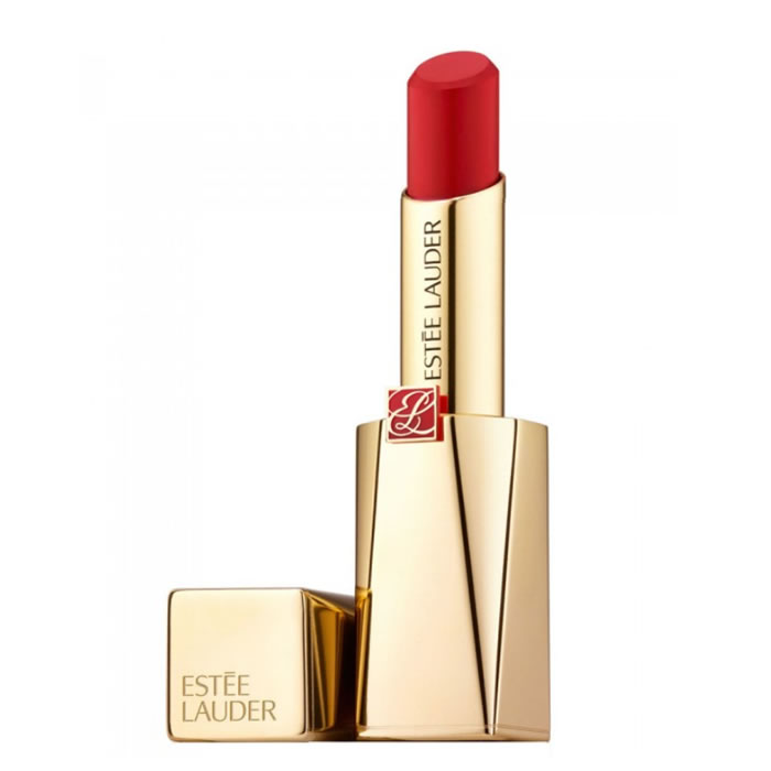 354686_97c7ada524d20507519341b3a796c9db Estee Lauder Lipstick Make Up Pure Color Desire Rouge Excess Matte Lipstick 313 Bite Back - Afbeelding 1