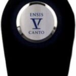 Ensis V by Canto 100 ml - Extrait De Parfum Spray (Unisex) - Afbeelding 3