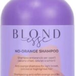 Shampoo for Coloured Hair Inebrya BLONDesse 300 ml