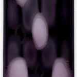 Abercrombie & Fitch First Instinct Extreme Eau De Parfum Spray, 100 ml - Afbeelding 4