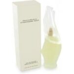 Donna Karan Cashmere Mist Eau De Parfum Spray 100 ml for Women