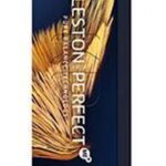 Permanente Kleur Koleston Me+ Wella Nº 10/31 (60 ml) - Afbeelding 4