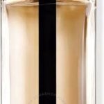 Dior Homme Sport