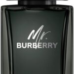 Burberry Mr. Burberry EDP M 100 ml
