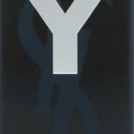 Yves Saint Laurent Y EDP M 100 ml - Afbeelding 3