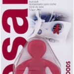 Mr & Mrs Fragrance - Cesare Cinnamon & Woods - Car Fragrances