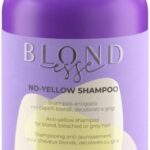 Tinting Shampoo for Blonde hair Inebrya BLONDesse 300 ml