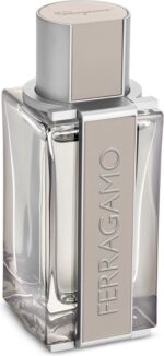 Salvatore Ferragamo - Bright Leather - 100 ml - Eau de Toilette - Herenparfum