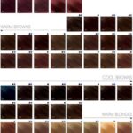 Goldwell   Topchic Depot Bus   12 BN Ultrablond Beige Natuurlijk   250 ml - Afbeelding 3