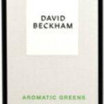 David Beckham Aromatic Greens Eau de Parfum Spray 100ml - Afbeelding 3